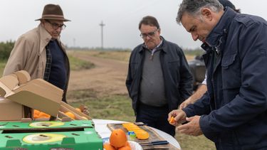 Yamandú Orsi inauguró la zafra citrícola en Salto y se llevó muchos deberes