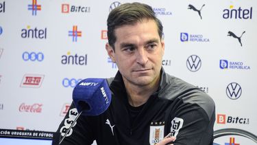 Se conoció la selección de convocados del Tornado Alonso para los amistosos ante Irán y Canadá.