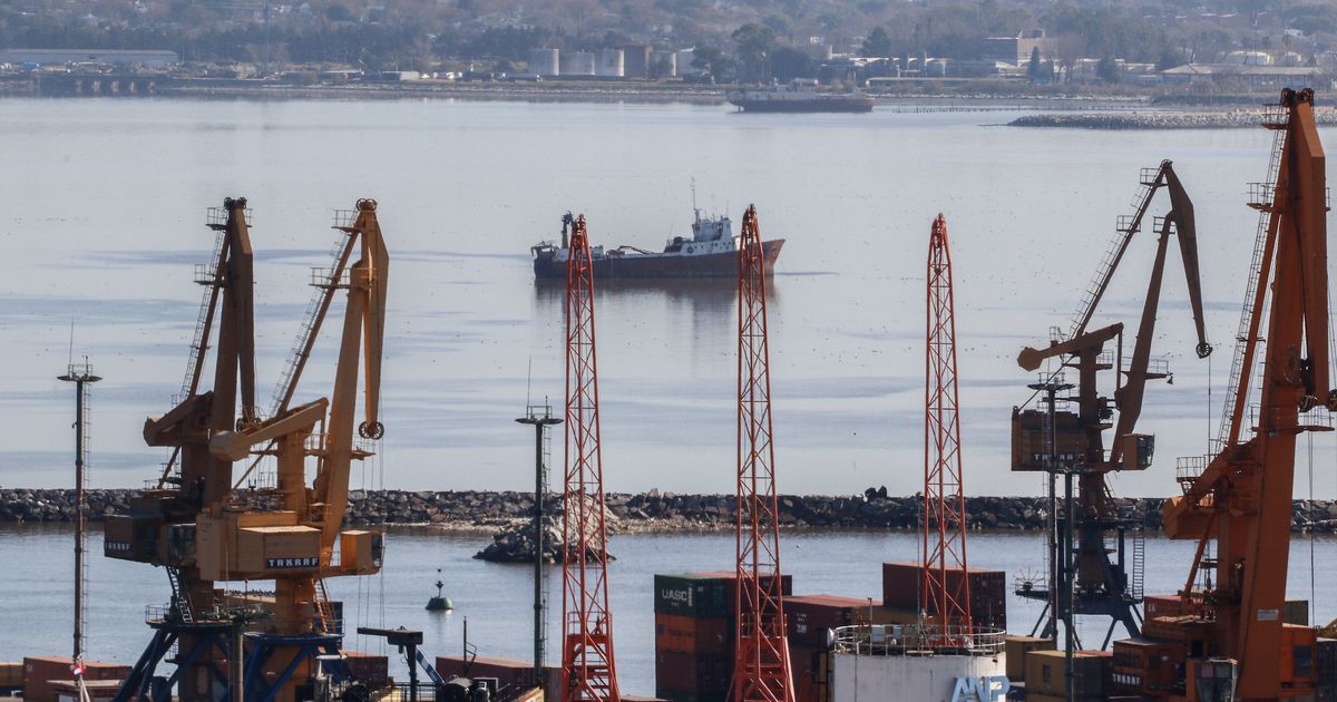 Exportaciones uruguayas caerán 3% este año respecto a 2025, según informe de Uruguay XXI