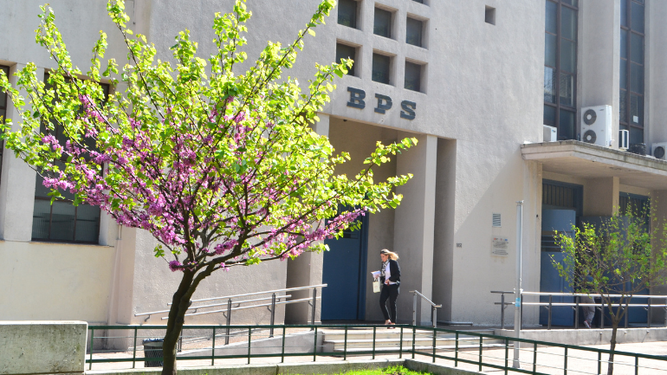 BPS tuvo déficit de 227 millones de dólares en 2025, debido a un aumento de jubilaciones y prestaciones