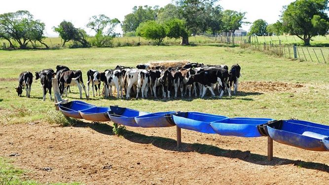 El MGAP extendió las medidas y el área comprendida por la emergencia agropecuaria