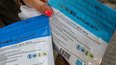 Farmacias venderán una nueva variedad de marihuana con más THC