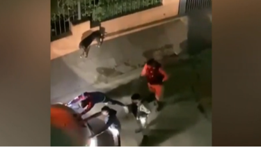 Interior inició investigación por efectivo que pidió a detenido borrar video