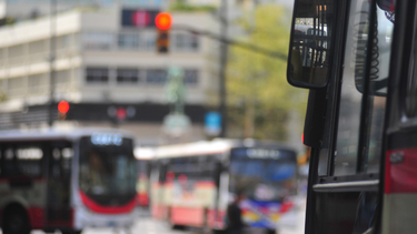 Así funcionará el transporte este domingo 27 de octubre