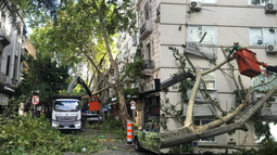 Daños tras tormenta.