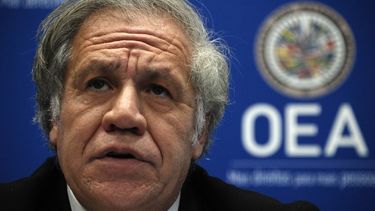 OEA decidió investigar a Almagro por relación con subalterna.