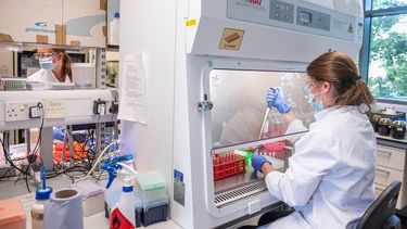 Oxford recibe donación récord para investigación sobre antibióticos