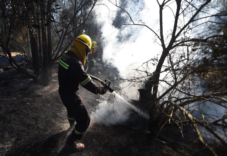 Se reactivó el incendio en Punta Espinillo: con apoyo aéreo, Bomberos mantiene tareas