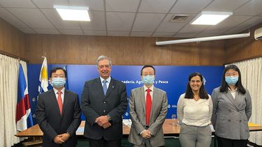 Uruguay y China firman protocolo para exportar sorgo