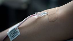 Lunes 30 de octubre: Jornada Nocturna de Donación de Sangre.