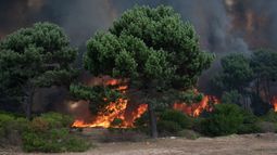 Las recomendaciones del Sinae para evitar incendios forestales.