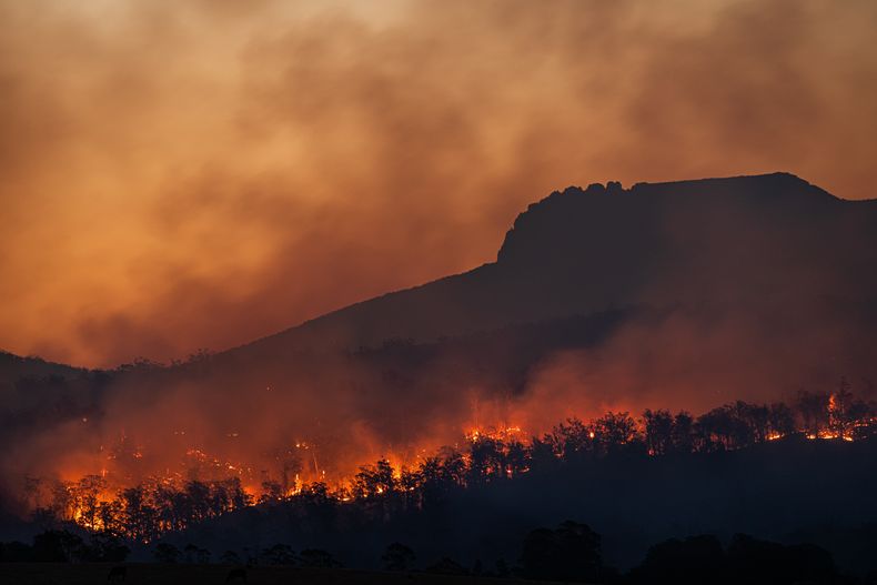 ONU alerta sobre la triple amenaza para los derechos humanos