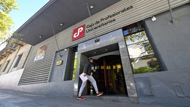 Caja de Profesionales valoró proyecto de Diputados y propuso algunos cambios para su discusión en el Senado