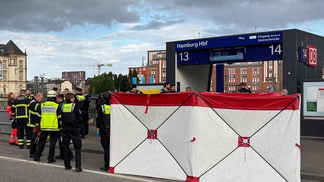 Doce heridos en un ataque con cuchillo en estación de trenes en Hamburgo, Alemania
