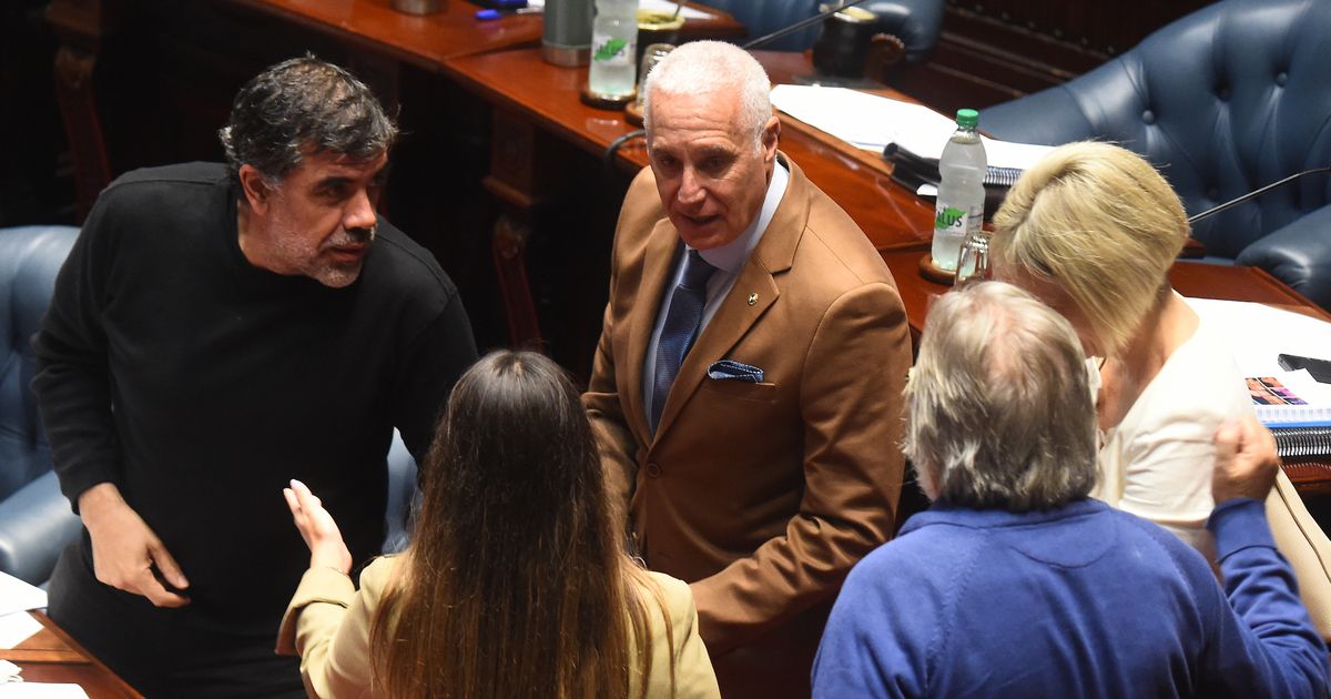 Óscar Andrade calificó la exposición de Carlos Negro de 