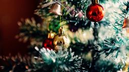 Aquí la fecha para armar el arbolito de Navidad.