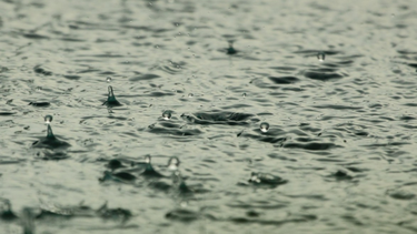 Lluvias.