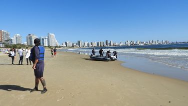 ¿Cómo sigue la búsqueda del nadador desaparecido en aguas de Punta del Este?