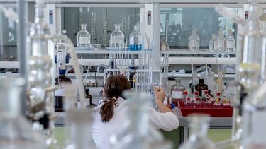 Argentina, Brasil, Uruguay y Estados Unidos son algunos de los países que tienen casos confirmados de&nbsp;viruela del mono.