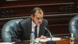 Manini Ríos propone que Senado decida contratos con el Estado