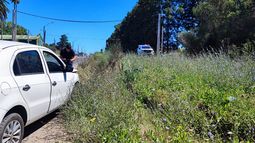 Robaron el auto a una pareja a punta de pistola y fueron detenidos tras chocar contra una banquina