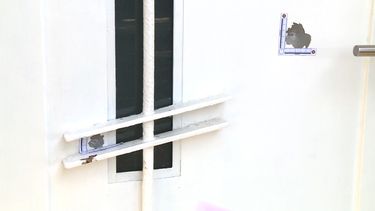 un adolescente de 15 anos fue asesinado a tiros en el barrio brazo oriental