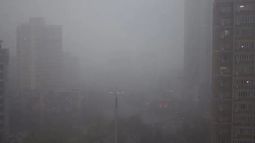 Niebla.