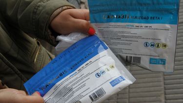 Farmacias vendieron 6,8 toneladas de cannabis en cuatro años