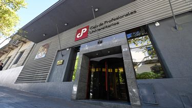 El futuro presidente de la Caja de Profesionales defendió partida económica votada para los directores