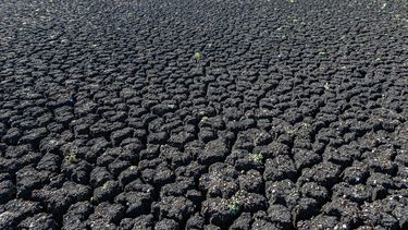 Declararon emergencia agropecuaria por 90 días por déficit hídrico en diez departamentos