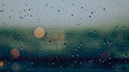 ¿Se viene la tormenta de Santa Rosa? Entre viernes y lunes habrá altas temperaturas y lluvias