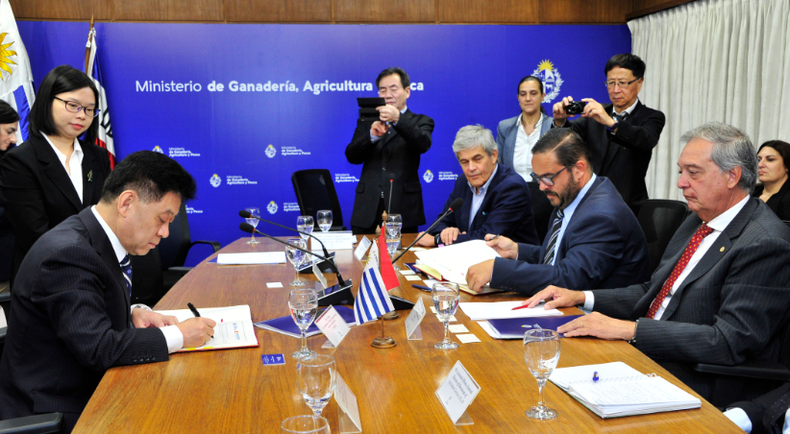 El ministro de Ganadería, Fernando Mattos, recibió al viceadministrador de la Administración Nacional de Alimentos y Reservas Estratégicos de China, Jia Quian.