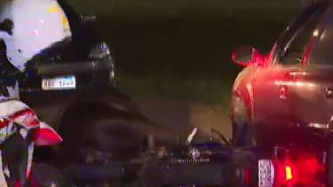 caballo suelto provoco siniestro de transito en paso de la arena