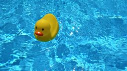 ¿Cómo combatimos el calor los uruguayos? Informe.