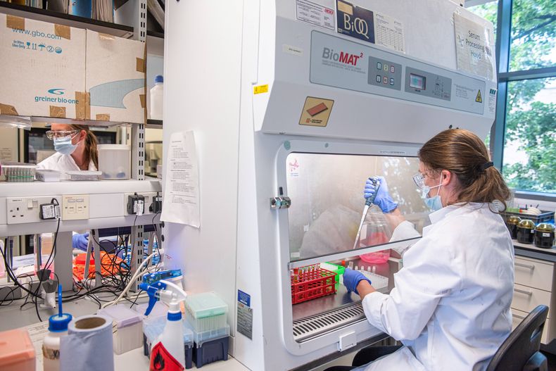 Oxford recibe donación récord para investigación sobre antibióticos