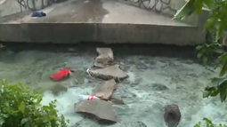 Padres de la escuela 404 reclaman mejor accesibilidad