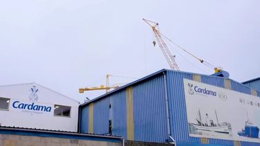 Oposición impulsó comisión investigadora por Cardama en Diputados: El Gobierno actuó de mala fe, dijo Lema