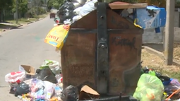 Intendencia de Montevideo asegura que recolección de basura de diciembre fue eficiente.
