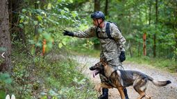 Gero, el perro del grupo K9 del Ejército, llevó a Uruguay al puesto 43 en el mundial de Búsqueda y Rescate