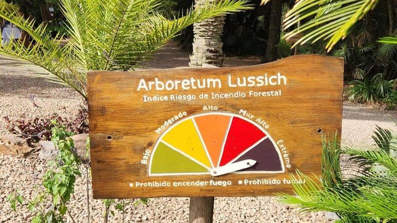 Arboretum Lussich tiene todos los senderos &nbsp;habilitados
