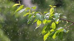 Martes según Inumet.