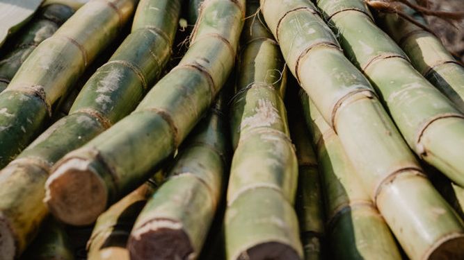 Cultivadores de caña de azúcar se reunieron con el gobierno