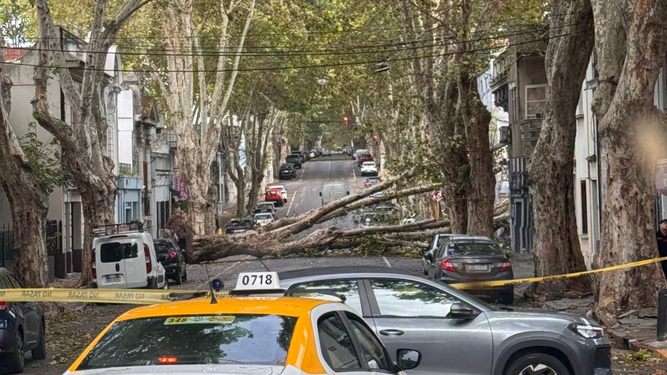 Inumet señala que lo peor ya pasó y se espera nueva desmejora el domingo, pero no se tratará de un ciclón