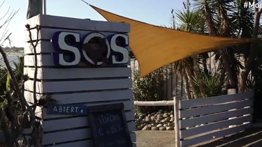 SOS Rescate de Fauna Marina en Punta Colorada.