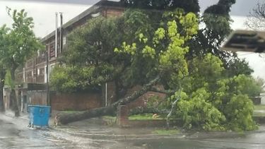 VIDEOS: Colonia y Paysandú, los departamentos más afectados por el temporal de viento y lluvias