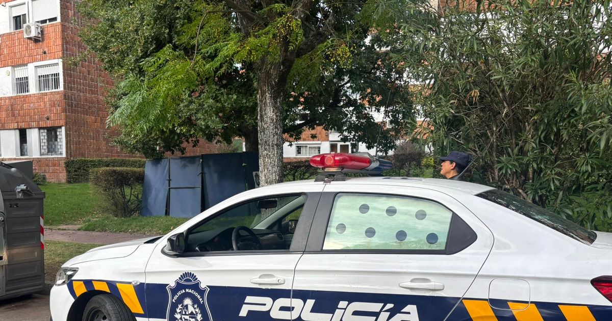 Hallaron a un hombre muerto bajo un árbol en Punta Gorda; investigan las causas