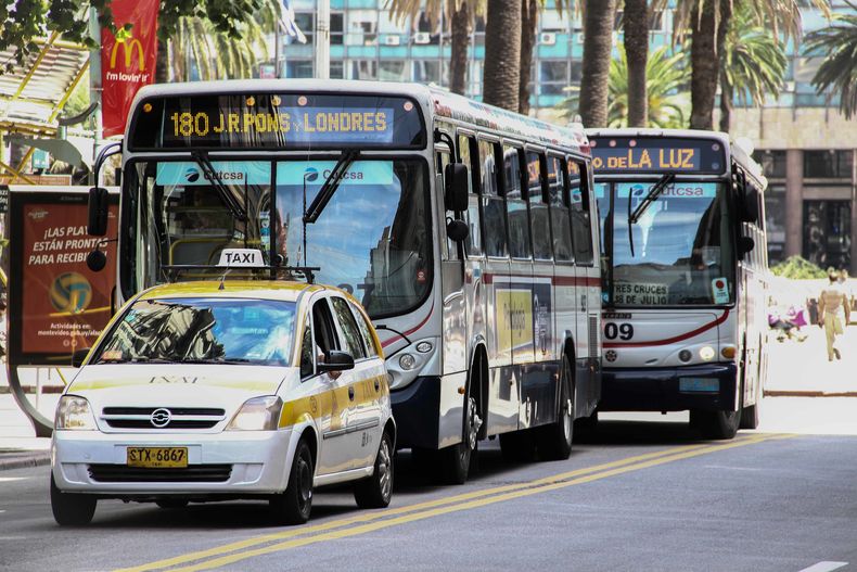 ¿Qué servicios se verán afectados por el feriado del 18 de julio?
