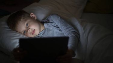 Parlamento trata proyecto sobre niños y pantallas.