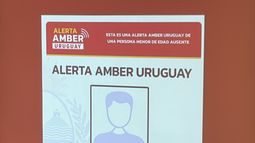 Comenzó a funcionar la Alerta Amber en Uruguay: así será el sistema para buscar a menores desaparecidos
