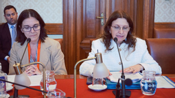 La ministro de Salud, Karina Rando, fue recibida en la Comisión de Salud del Senado para hablar del proyecto de ley de eutanasia.